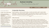 Big Fish Consulting