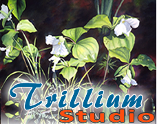 Trillium Studio Logo